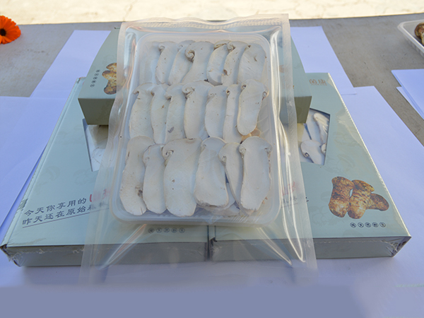 凍干松茸片