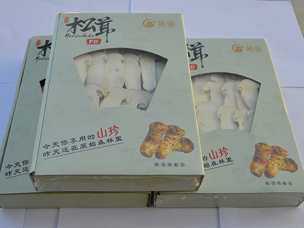 凍干松茸片