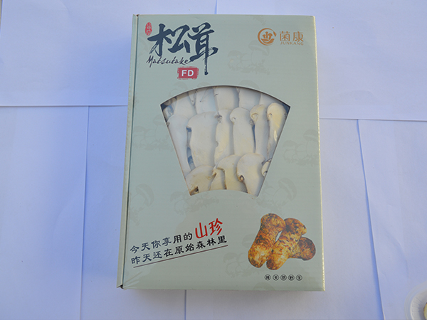 凍干松茸片