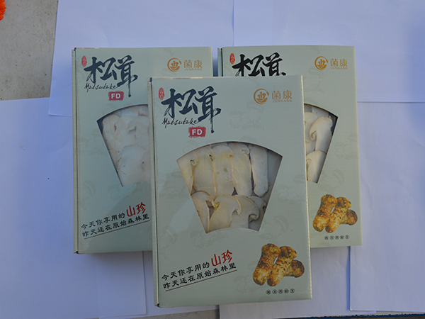 凍干松茸片