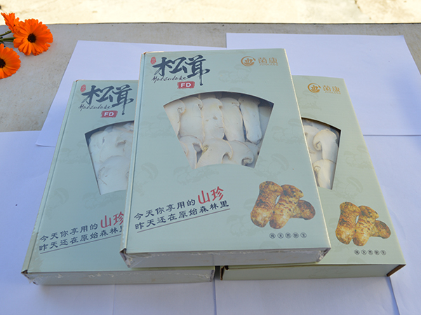 凍干松茸片