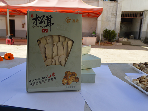 凍干松茸片