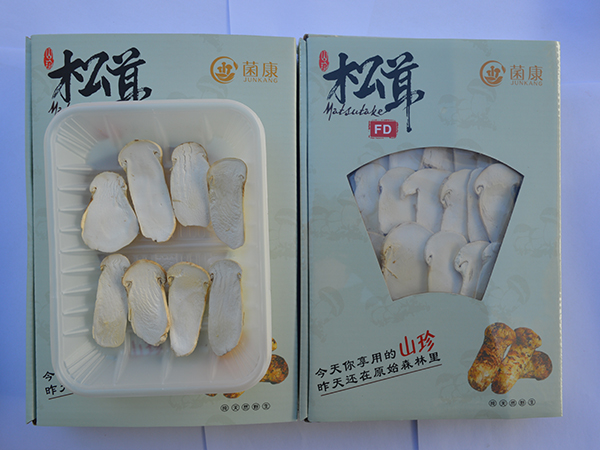 凍干松茸片
